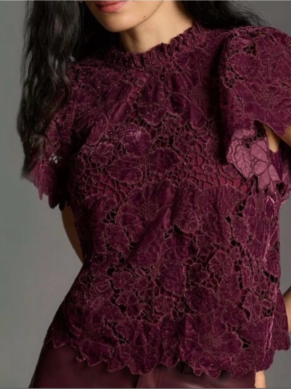Anthropologie Plum Velvet Velour Lace Overlay Floral Short Sleeve Blouse EUC